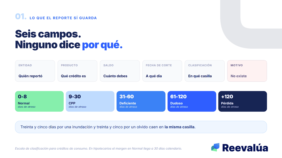 Seis campos, ninguno para el motivo. La casilla se define por días.